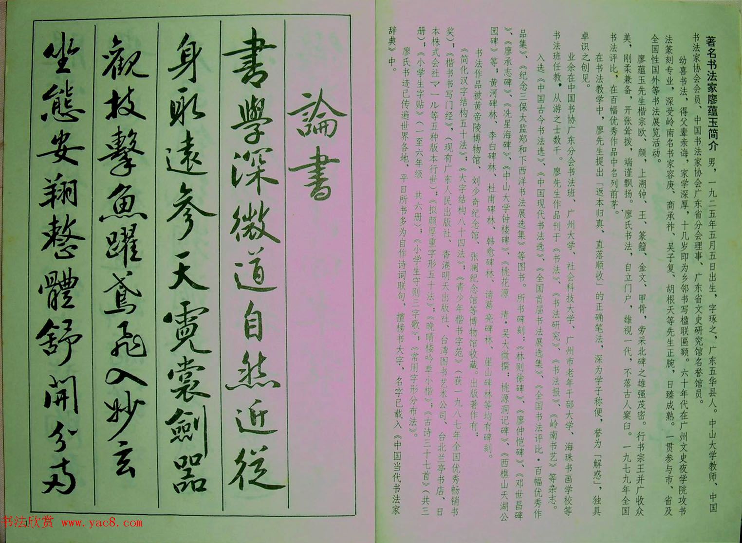 青少年行书范本《廖蕴玉著并书.论书七绝句一百首》