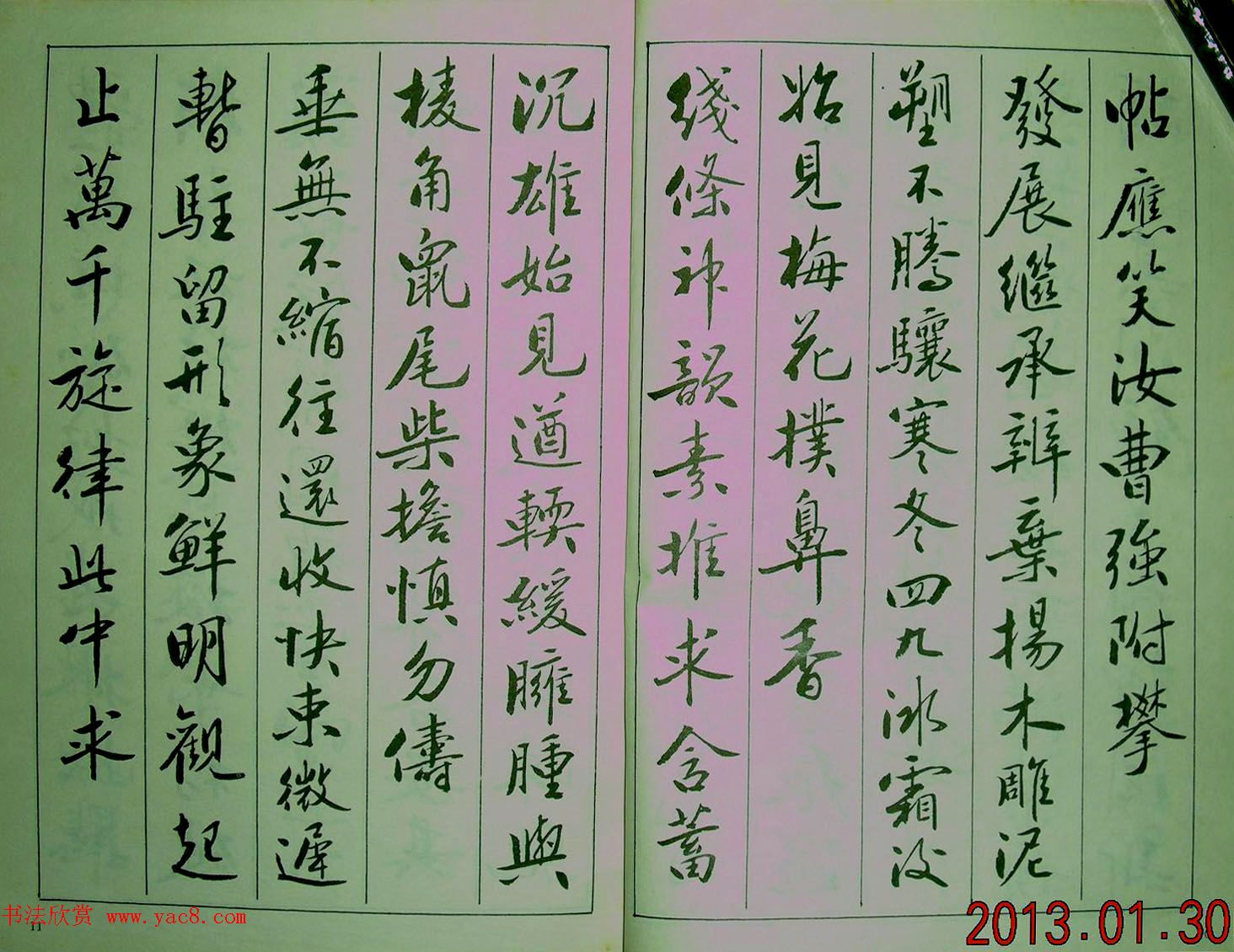 青少年行书范本《廖蕴玉著并书.论书七绝句一百首》