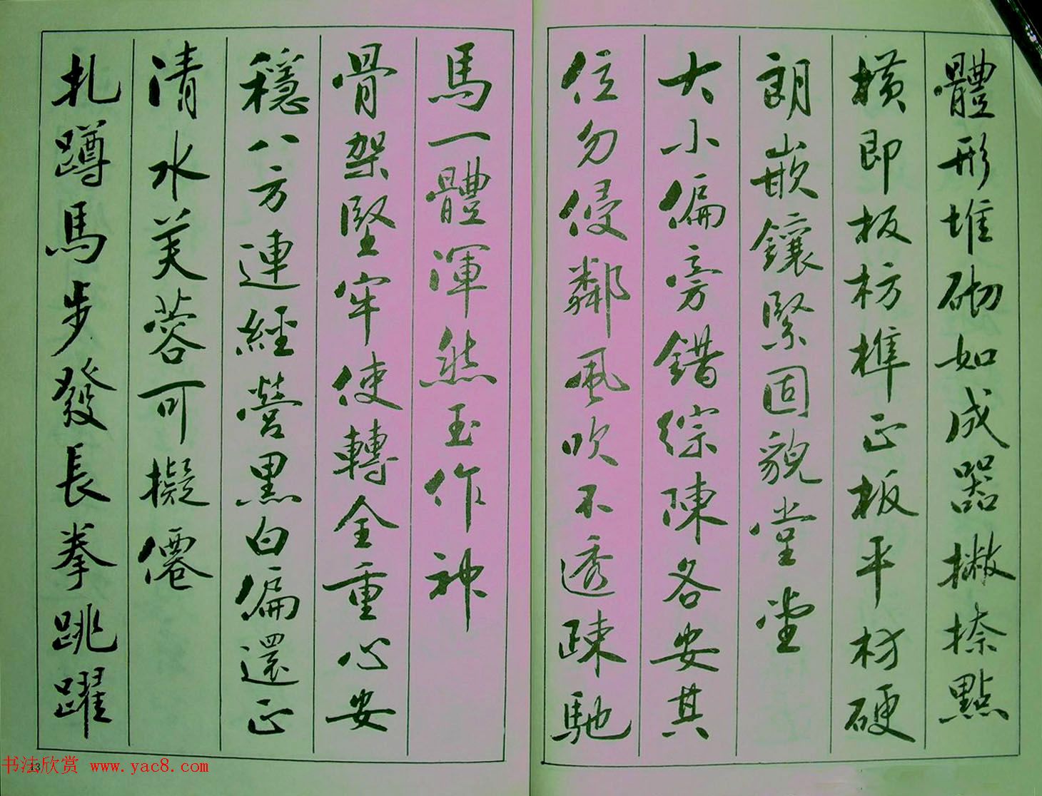 青少年行书范本《廖蕴玉著并书.论书七绝句一百首》