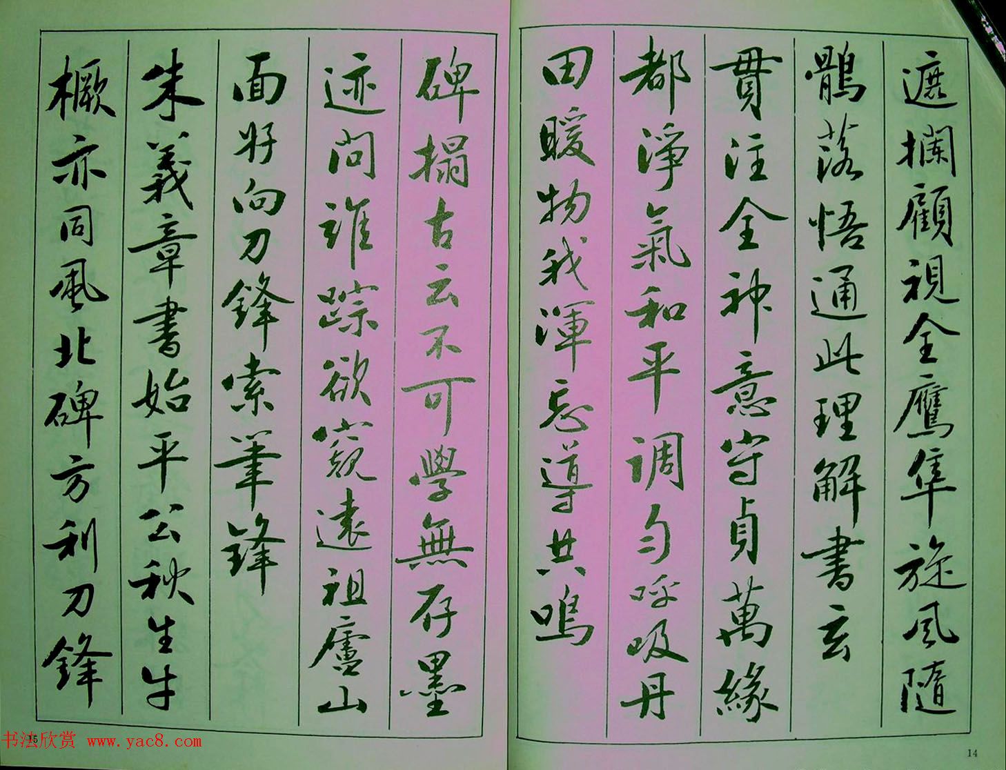 青少年行书范本《廖蕴玉著并书.论书七绝句一百首》