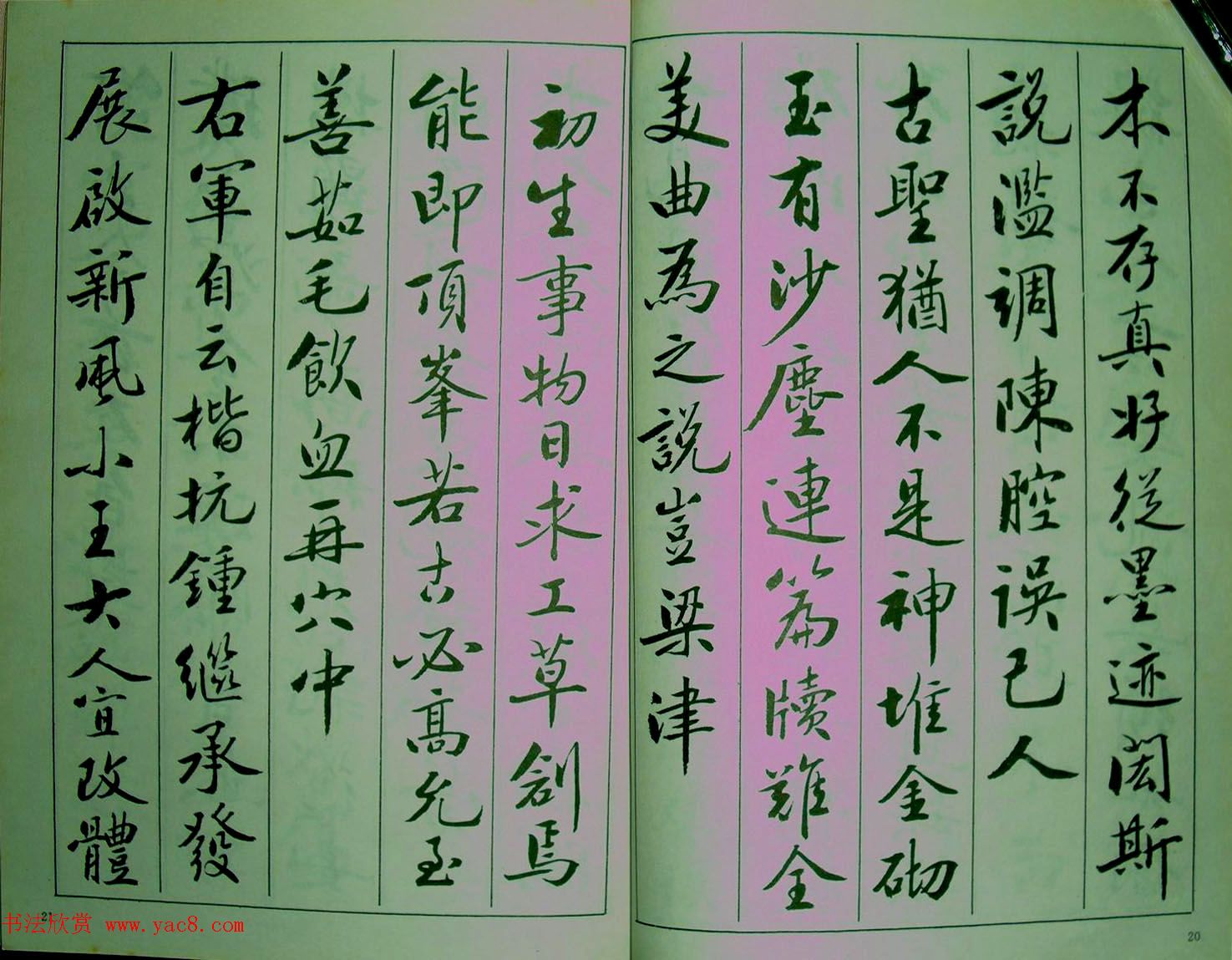 青少年行书范本《廖蕴玉著并书.论书七绝句一百首》