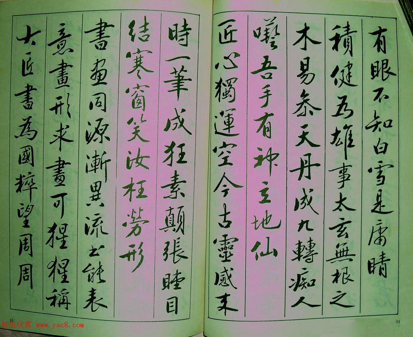 青少年行书范本《廖蕴玉著并书.论书七绝句一百首》