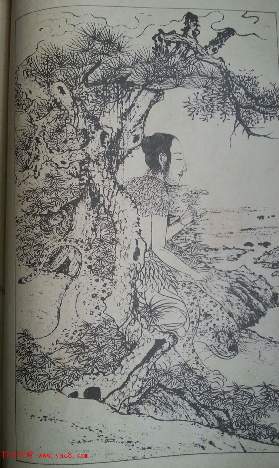 赵孟頫书画图书《大风堂藏赵文敏九歌书画册》