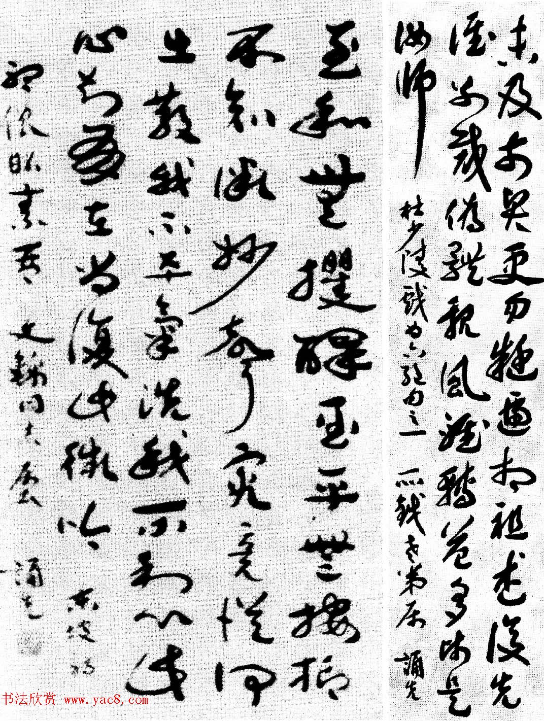 现代诗人郑诵先章草书法作品欣赏