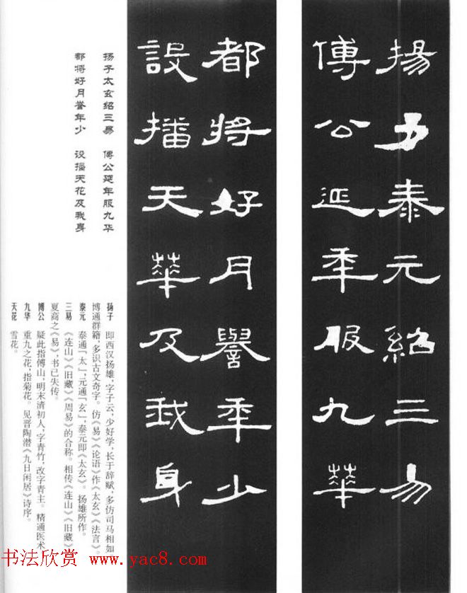 《汉泰山都尉孔宙碑》隶书集联欣赏102副