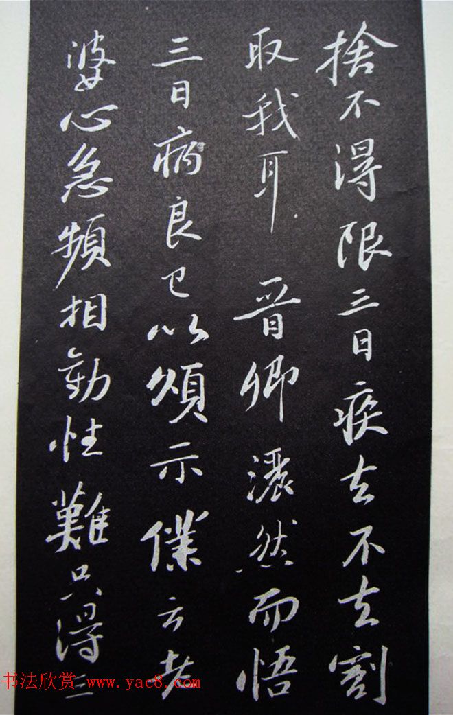 苏轼行书题跋《跋王晋卿藏挑耳图帖》