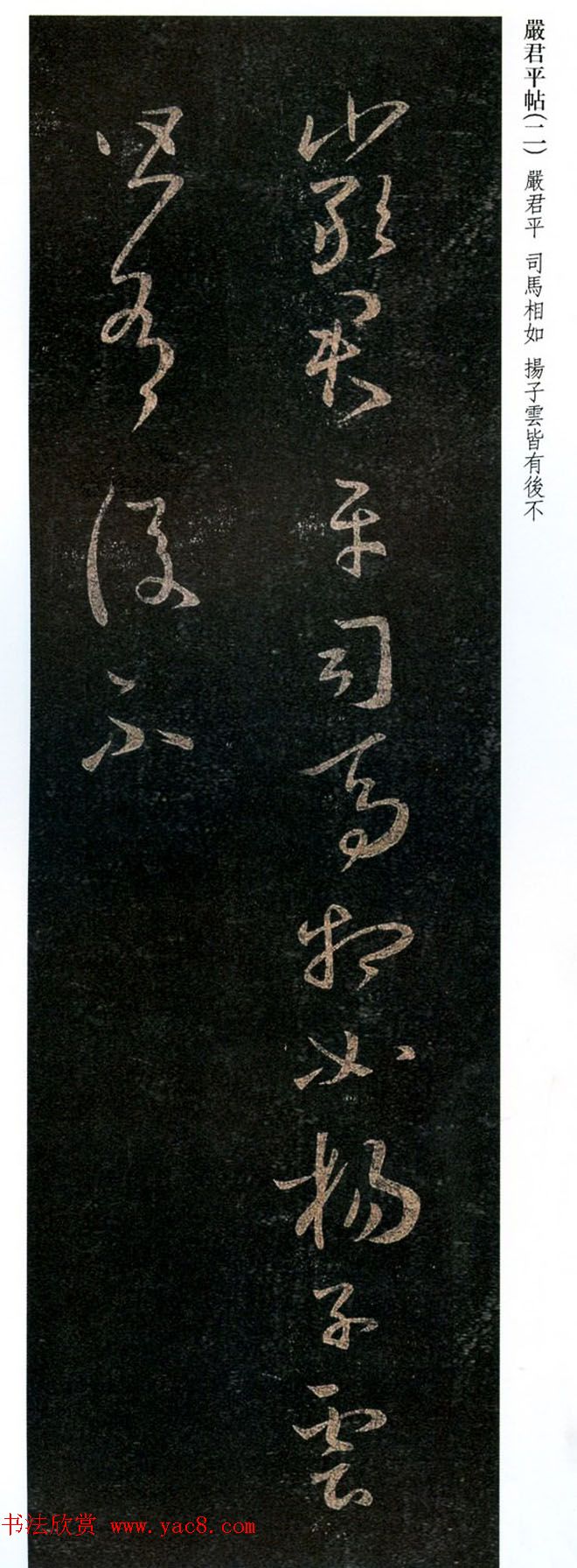 王羲之草书欣赏《药草帖》和《严君平帖》