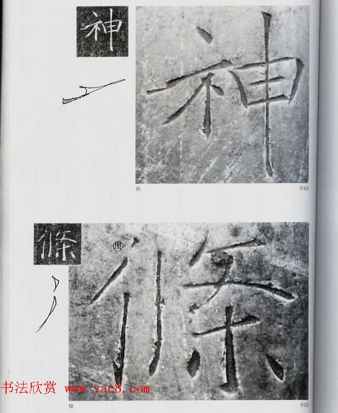 荒金大琳编著《褚遂良雁塔圣教序扩大观察记录》