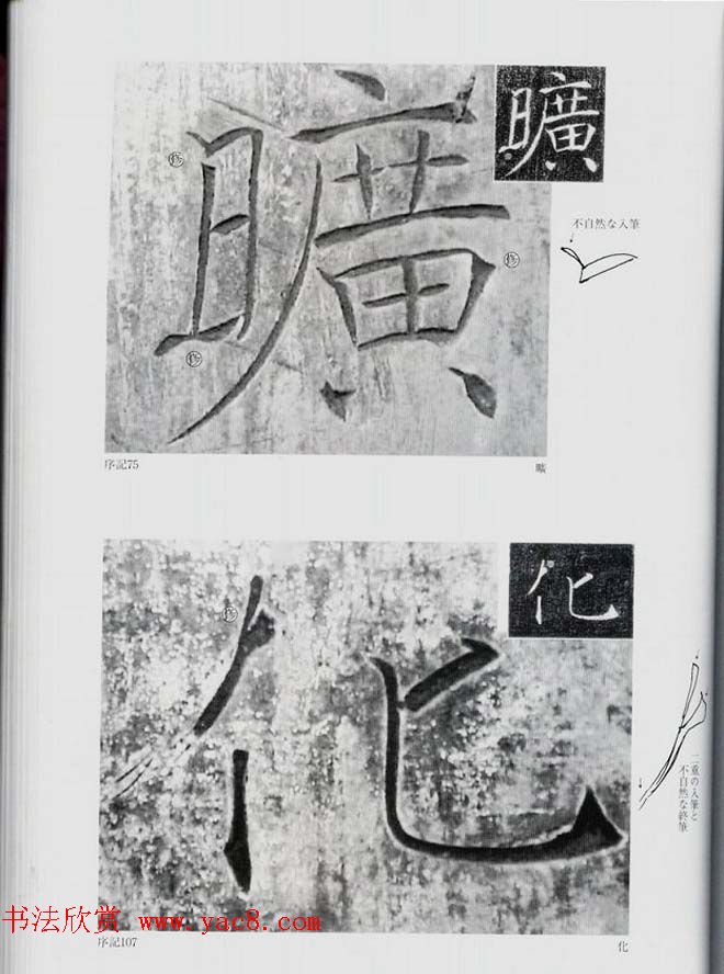 荒金大琳编著《褚遂良雁塔圣教序扩大观察记录》