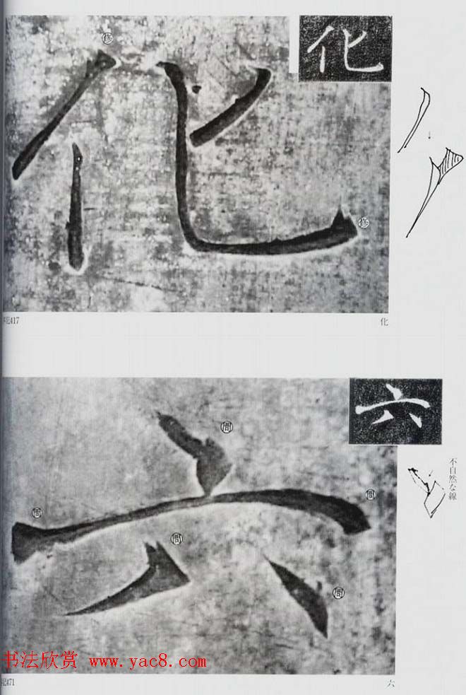 荒金大琳编著《褚遂良雁塔圣教序扩大观察记录》