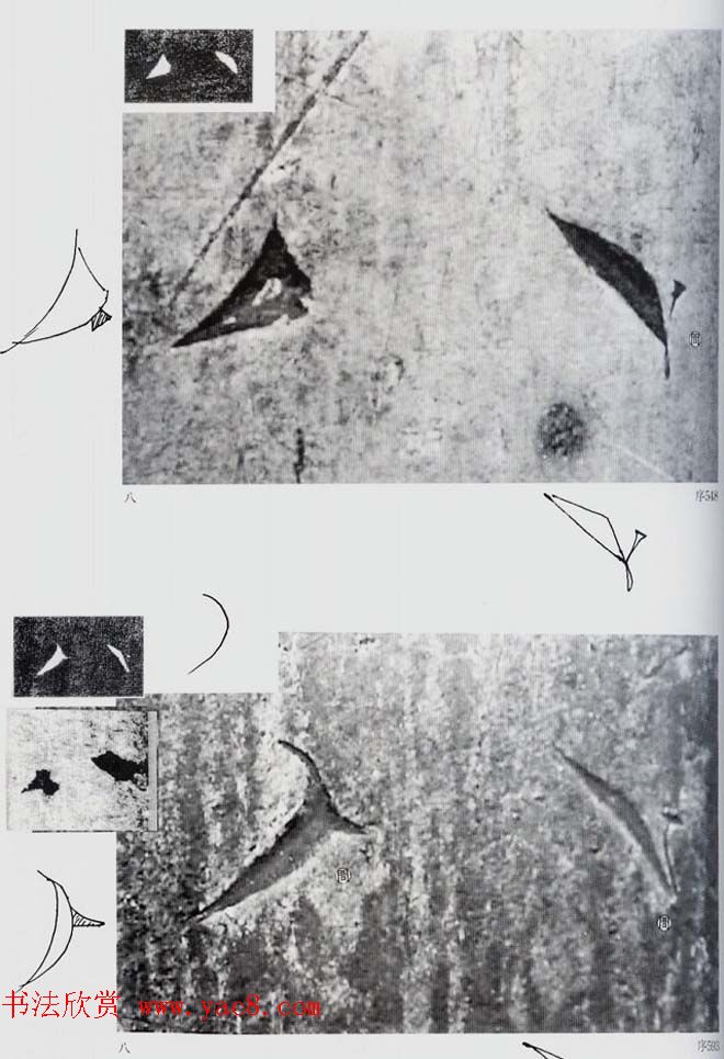 荒金大琳编著《褚遂良雁塔圣教序扩大观察记录》