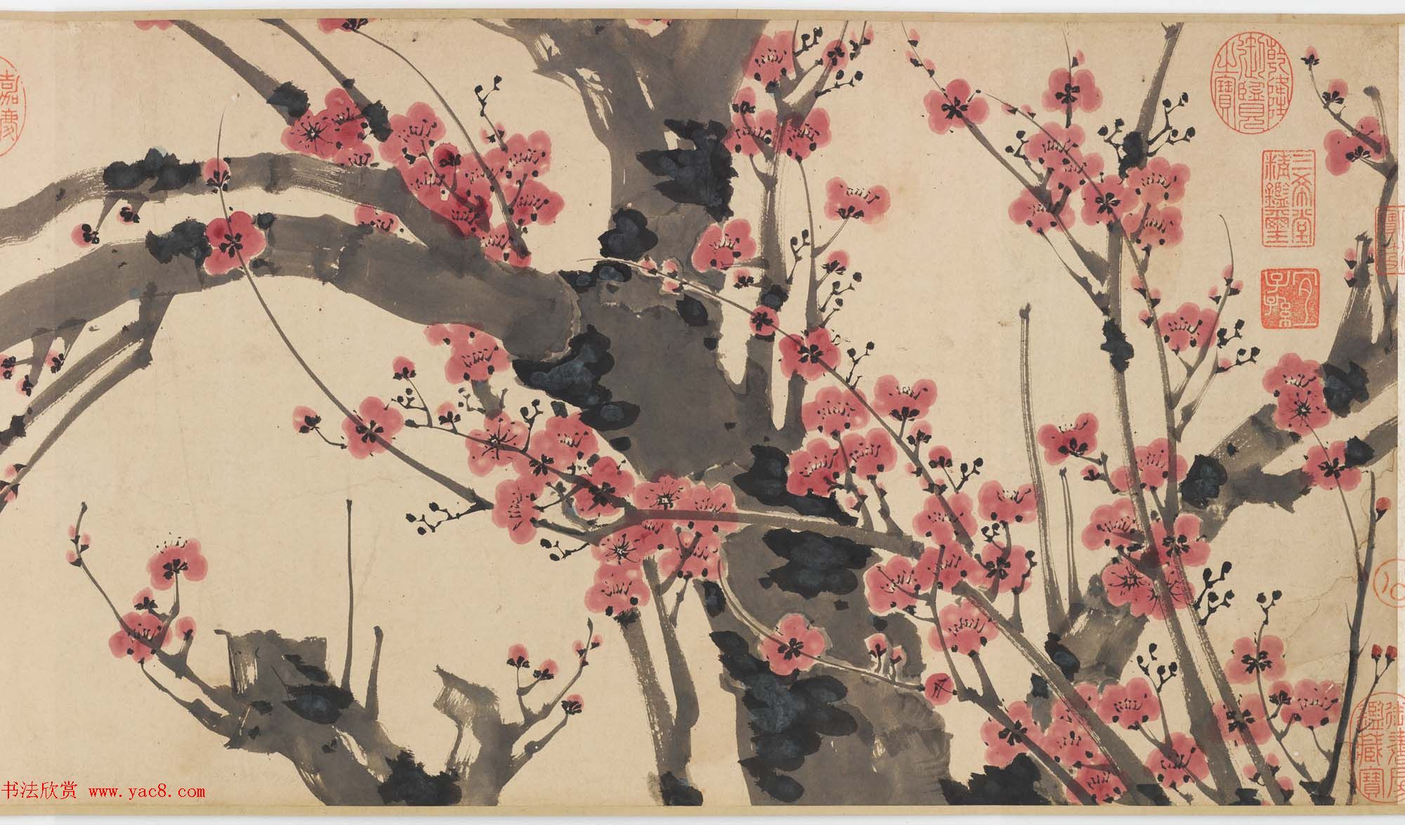 明代书画家姚绶作品红梅图卷+云蕉篇