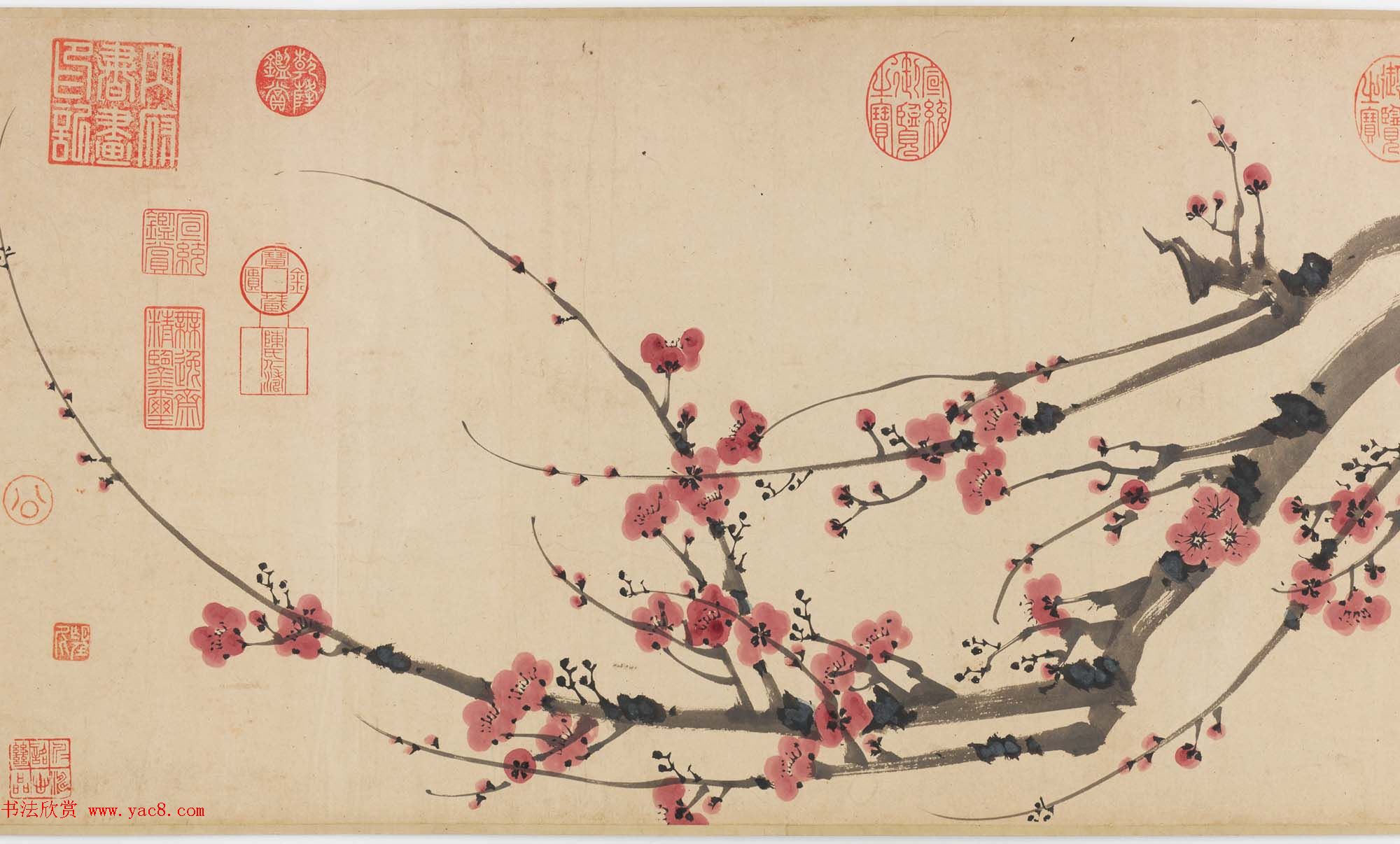 明代书画家姚绶作品红梅图卷+云蕉篇