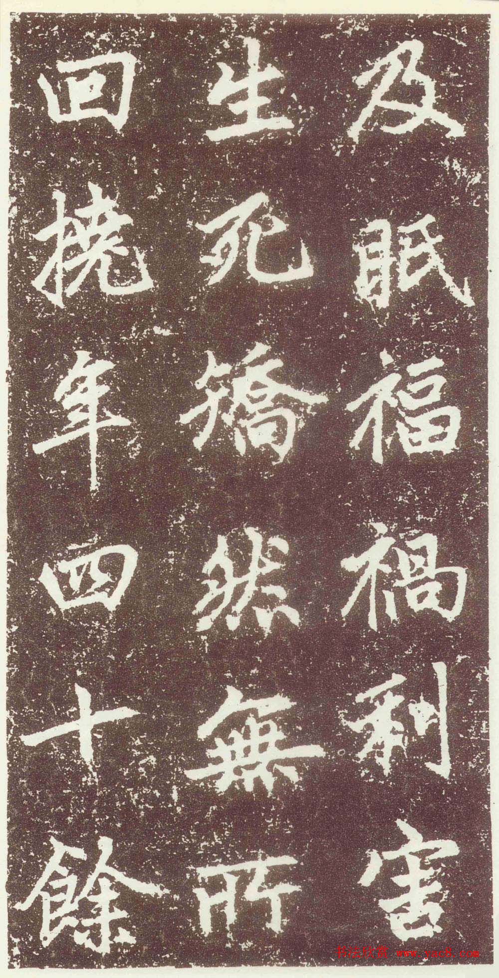 赵孟頫行楷书法欣赏《元故太常博士敬君墓碣铭并序》