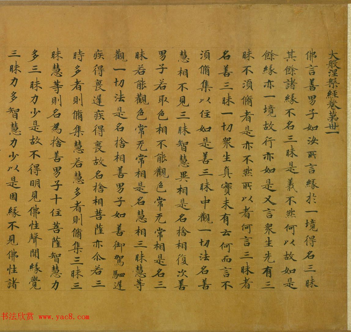 佛教经典手卷欣赏《唐人写本大般涅盘经卷第三十一》