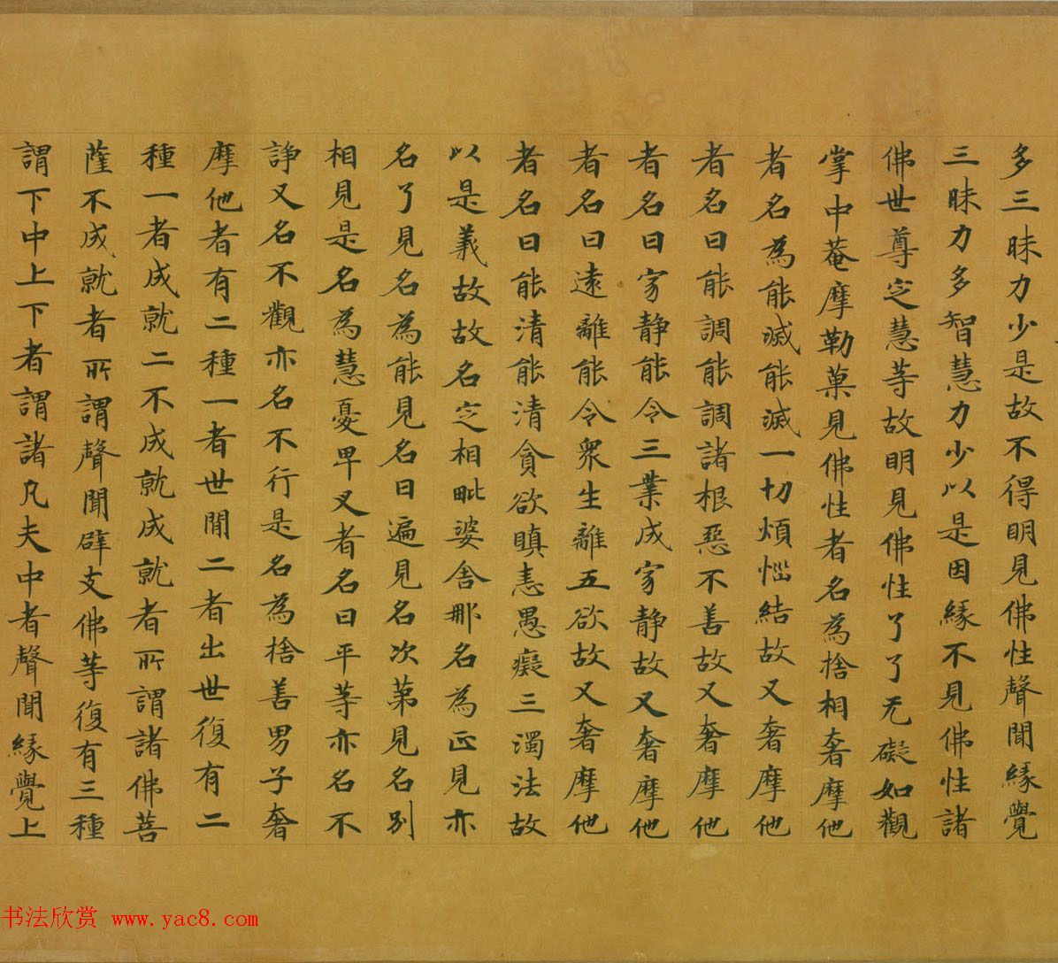 佛教经典手卷欣赏《唐人写本大般涅盘经卷第三十一》