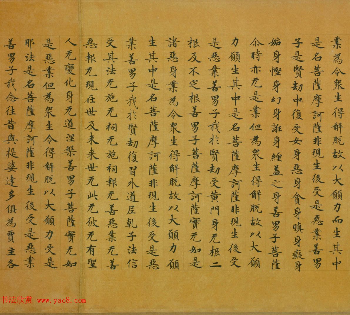 佛教经典手卷欣赏《唐人写本大般涅盘经卷第三十一》