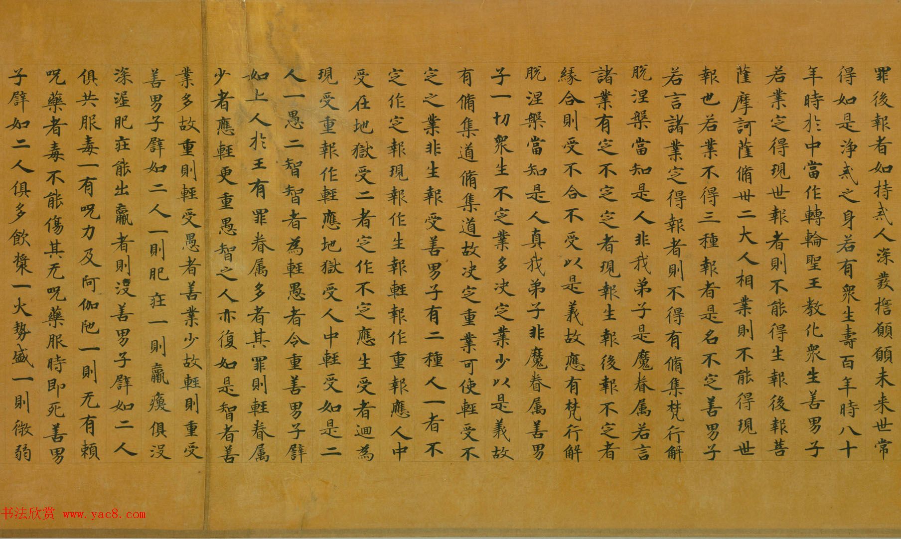 佛教经典手卷欣赏《唐人写本大般涅盘经卷第三十一》