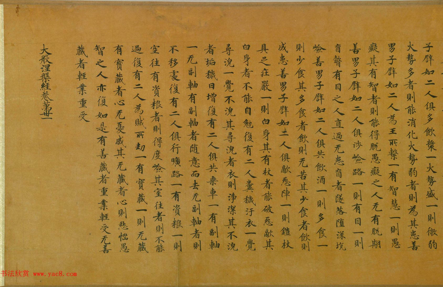 佛教经典手卷欣赏《唐人写本大般涅盘经卷第三十一》