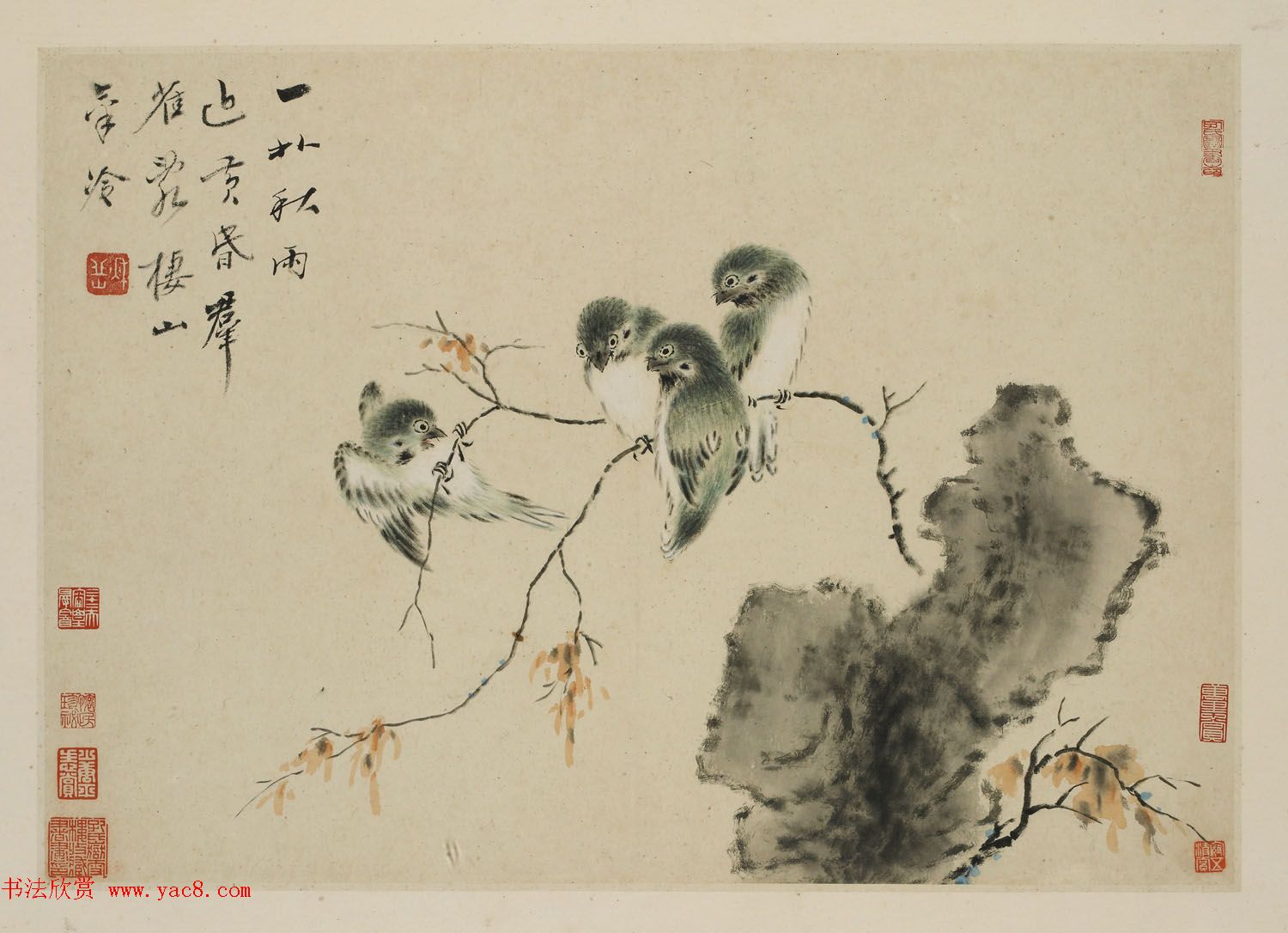 华喦绘画作品《新罗山人花鸟册》美国弗利尔美术馆藏