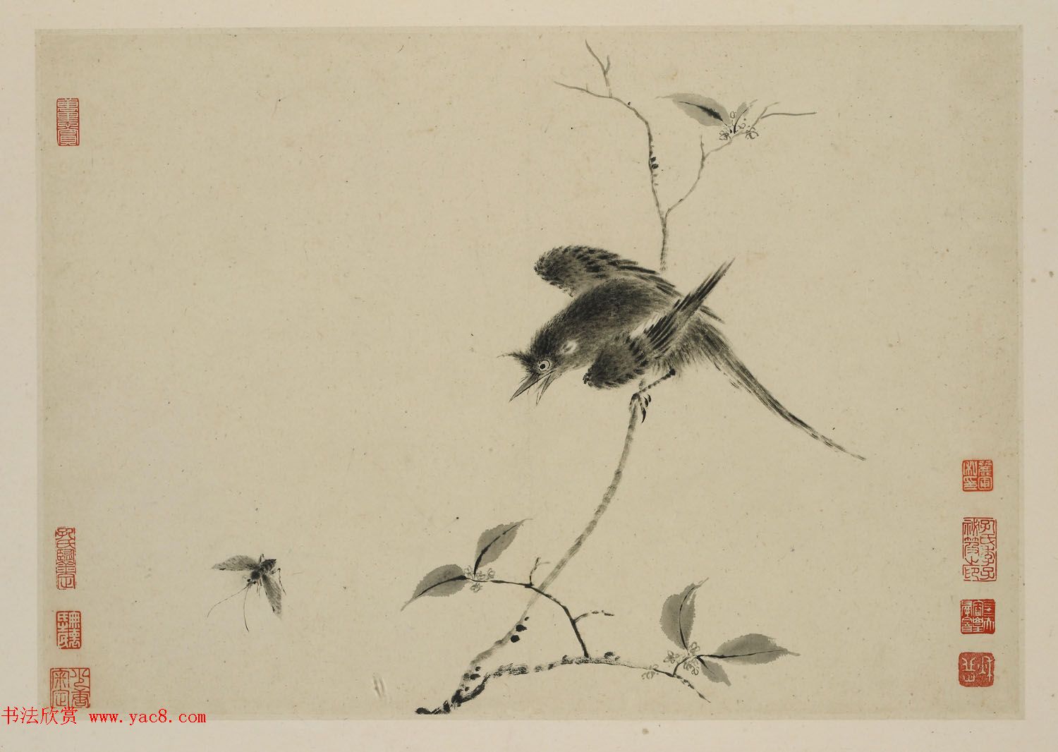 华喦绘画作品《新罗山人花鸟册》美国弗利尔美术馆藏