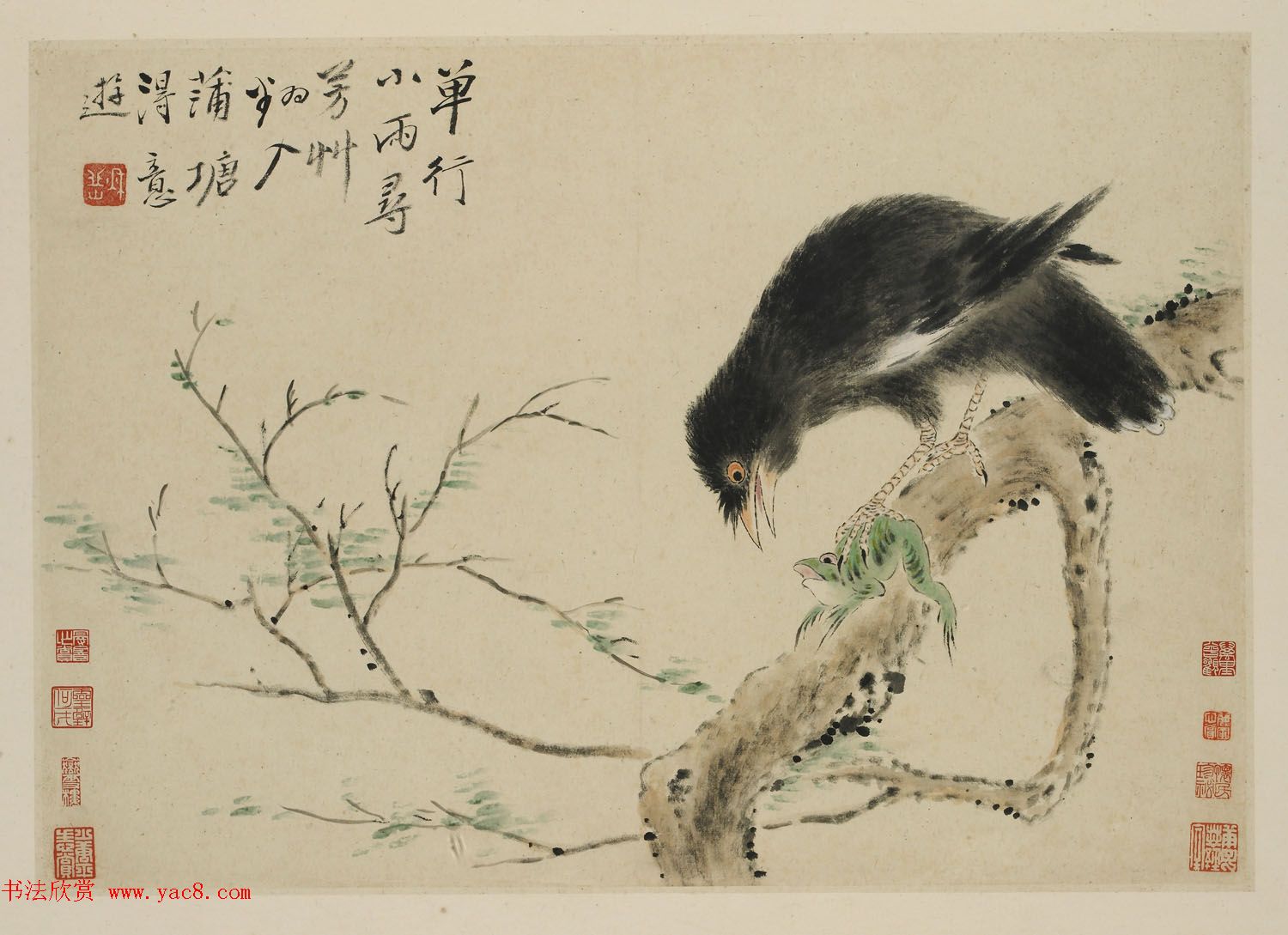 华喦绘画作品《新罗山人花鸟册》美国弗利尔美术馆藏