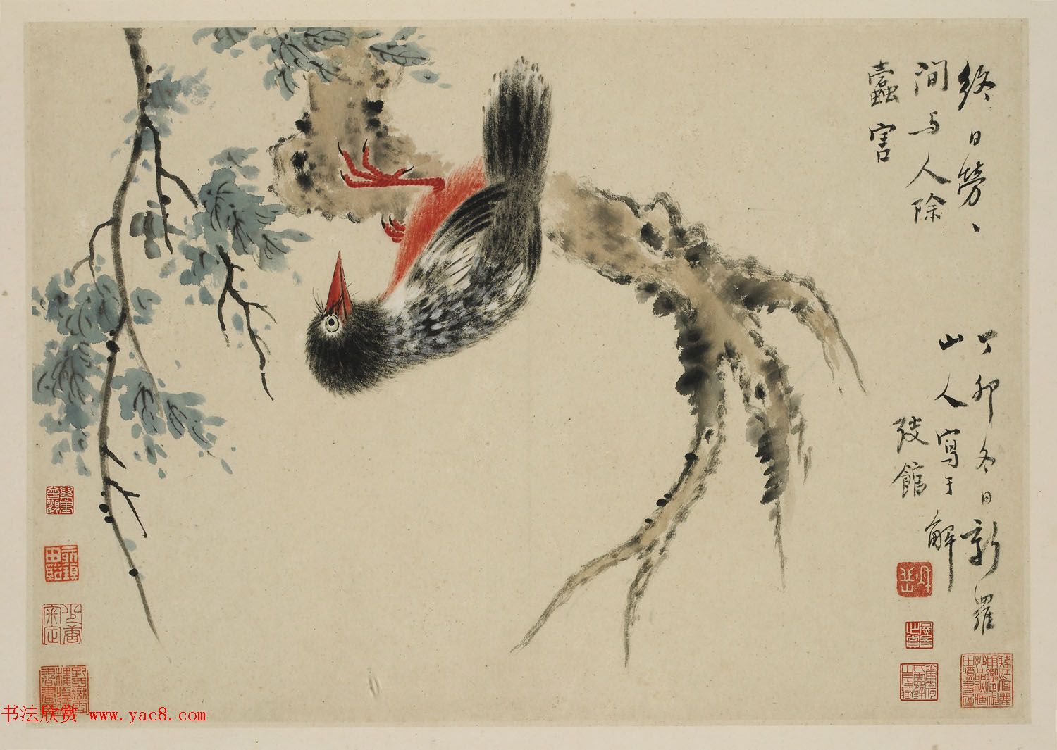 华喦绘画作品《新罗山人花鸟册》美国弗利尔美术馆藏