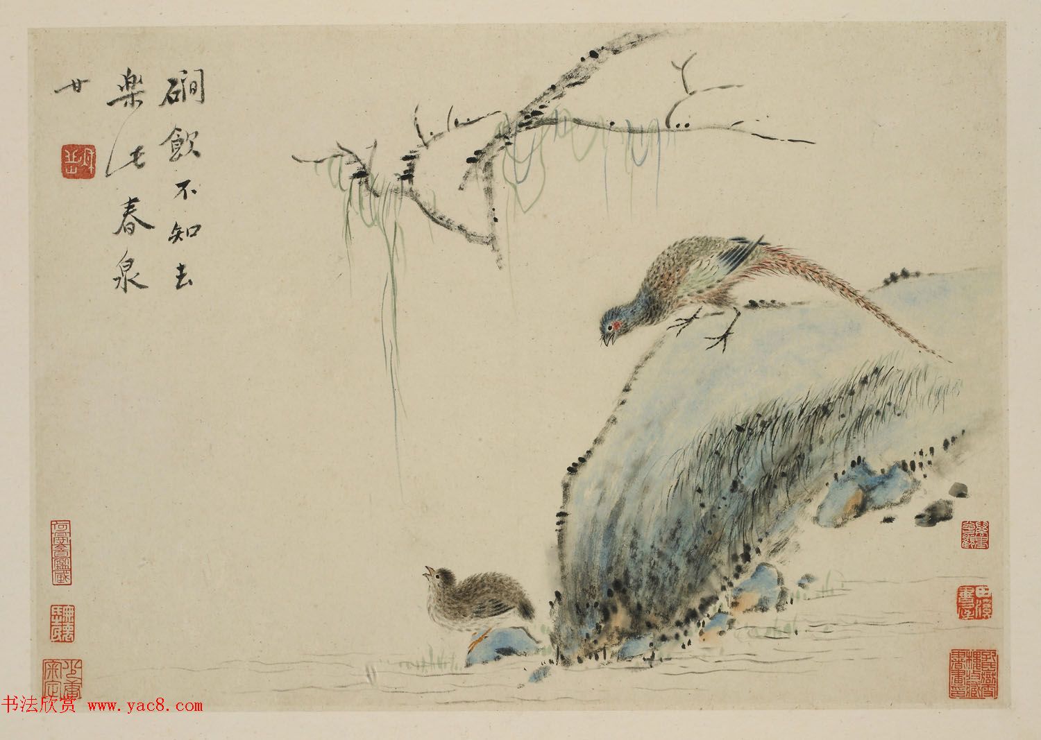 华喦绘画作品《新罗山人花鸟册》美国弗利尔美术馆藏