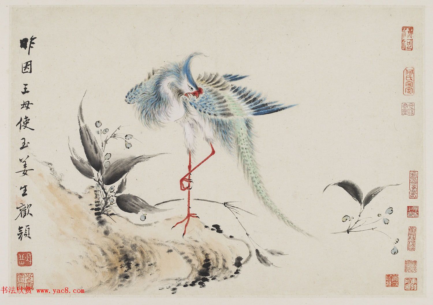 华喦绘画作品《新罗山人花鸟册》美国弗利尔美术馆藏