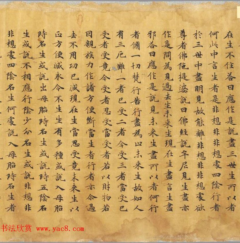 唐代写经赏析《阿毘昙毘婆沙论卷第五十二》法国国家图书馆藏