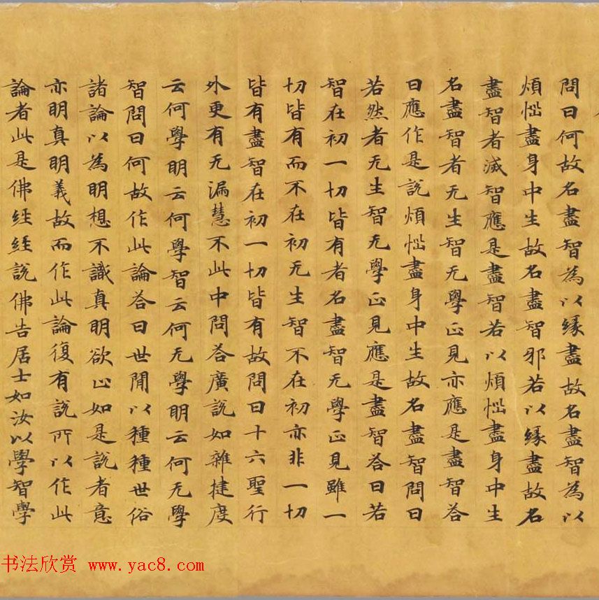 唐代写经赏析《阿毘昙毘婆沙论卷第五十二》法国国家图书馆藏