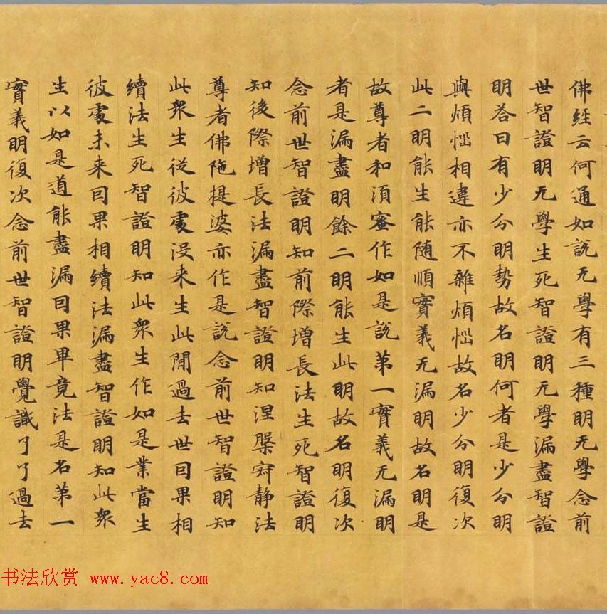 唐代写经赏析《阿毘昙毘婆沙论卷第五十二》法国国家图书馆藏