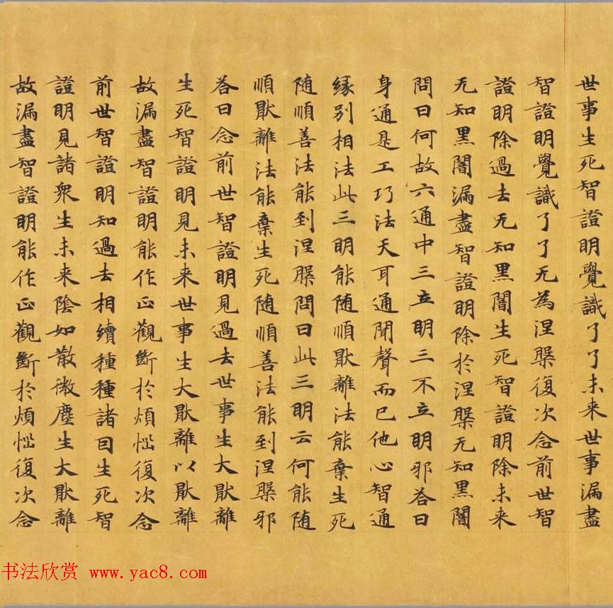 唐代写经赏析《阿毘昙毘婆沙论卷第五十二》法国国家图书馆藏