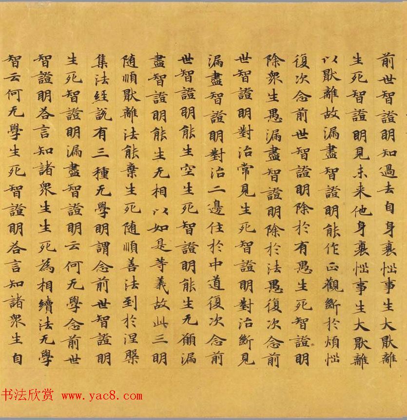 唐代写经赏析《阿毘昙毘婆沙论卷第五十二》法国国家图书馆藏