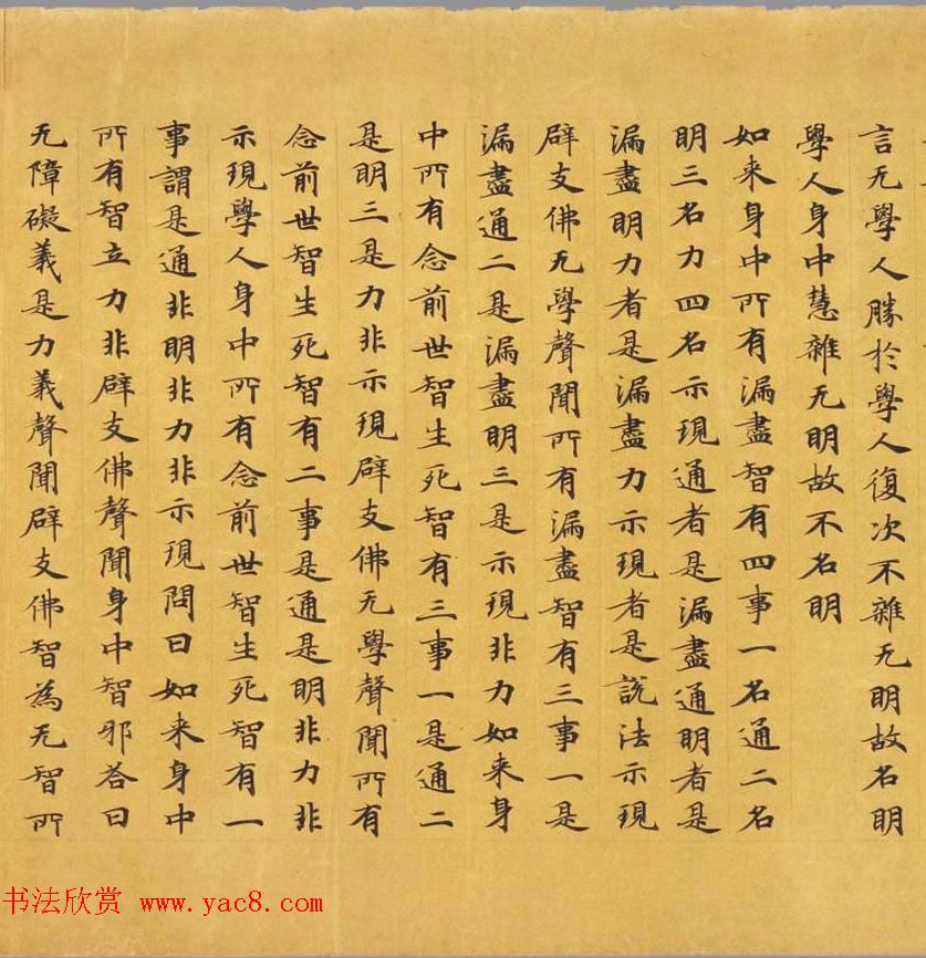 唐代写经赏析《阿毘昙毘婆沙论卷第五十二》法国国家图书馆藏