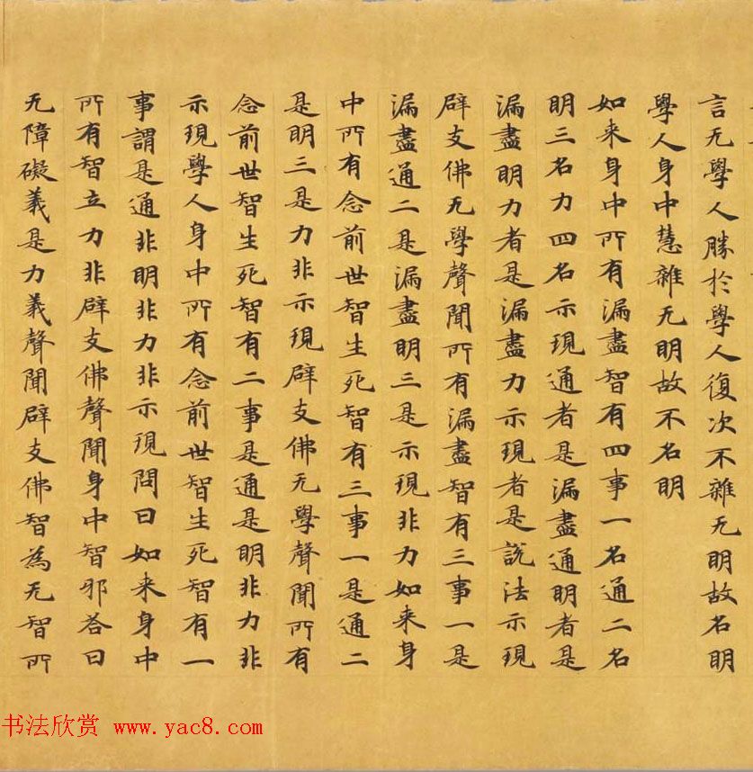 唐代写经赏析《阿毘昙毘婆沙论卷第五十二》法国国家图书馆藏