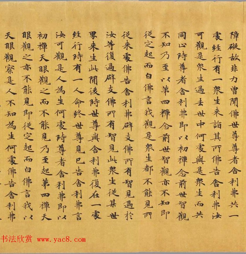 唐代写经赏析《阿毘昙毘婆沙论卷第五十二》法国国家图书馆藏