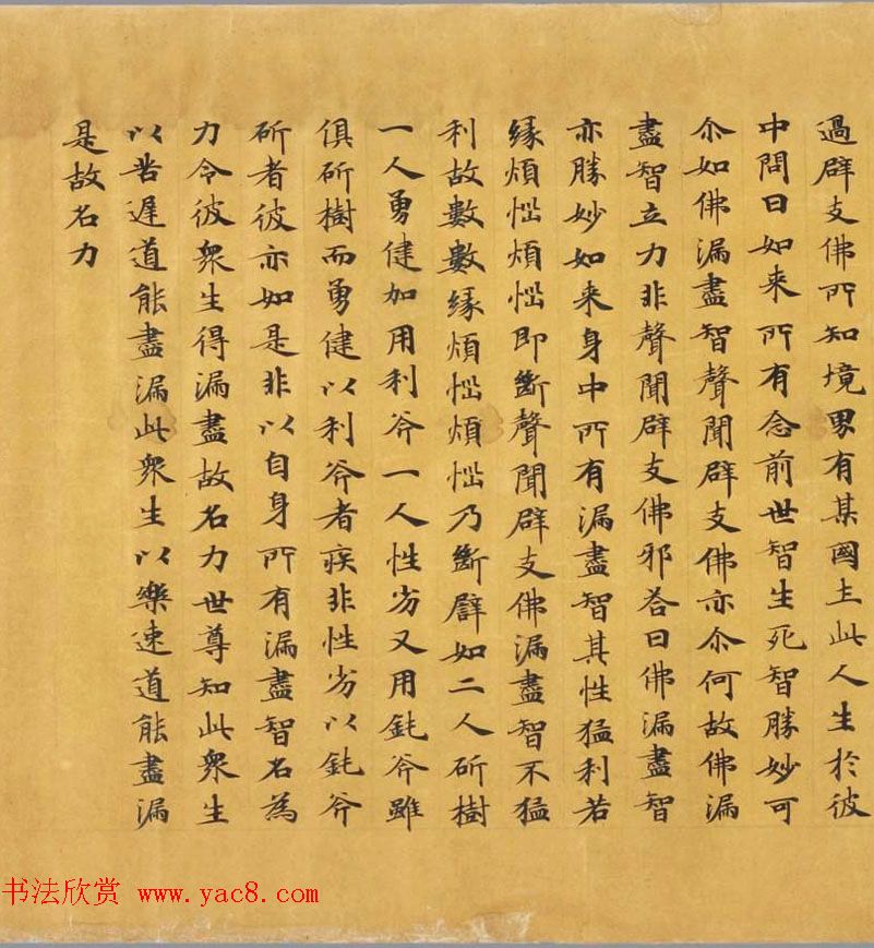 唐代写经赏析《阿毘昙毘婆沙论卷第五十二》法国国家图书馆藏