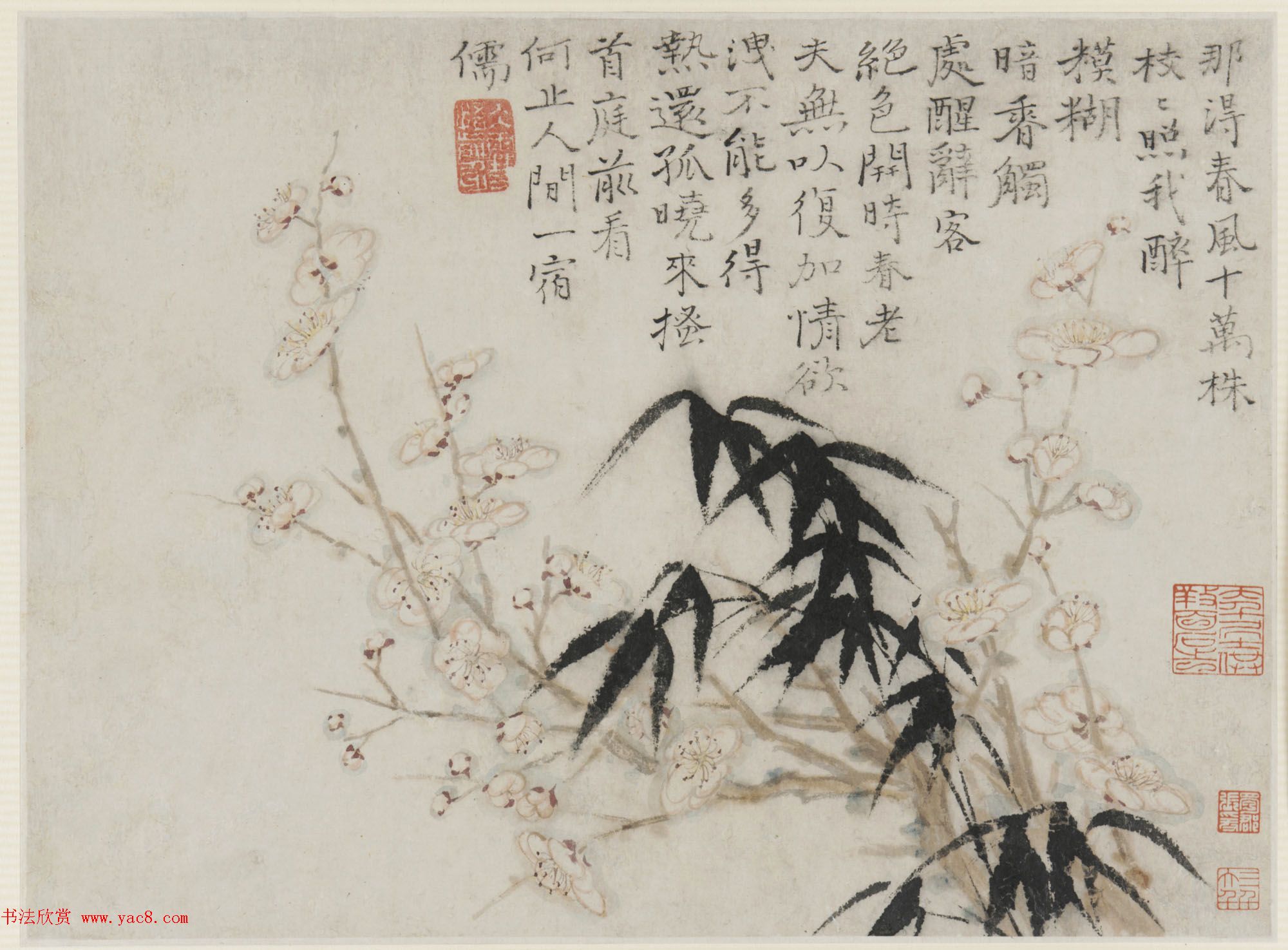 清代画家石涛花卉图册_美国弗利尔美术馆藏