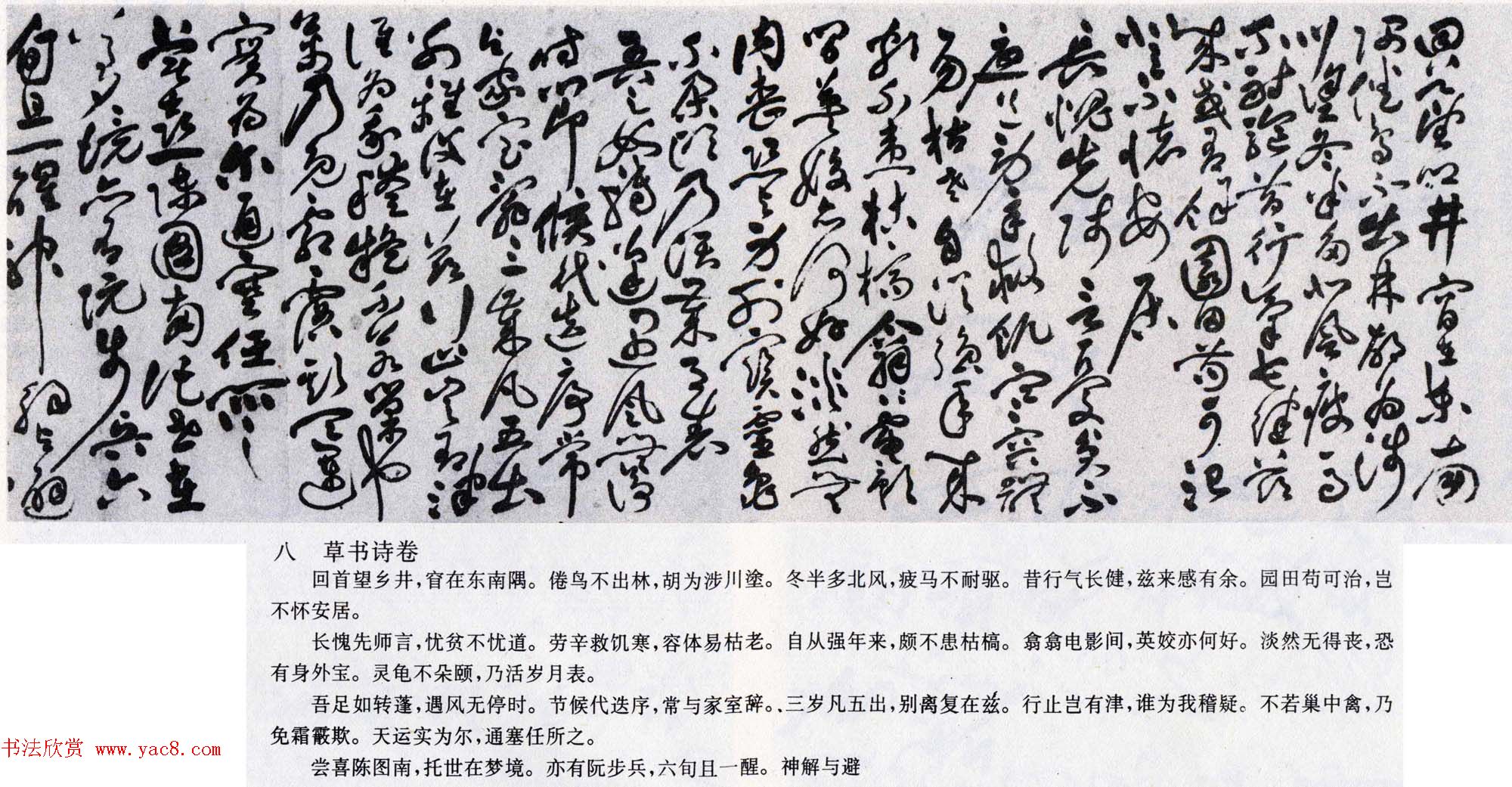 祝允明书法长卷欣赏《草书自诗卷》两种_上海博物馆藏