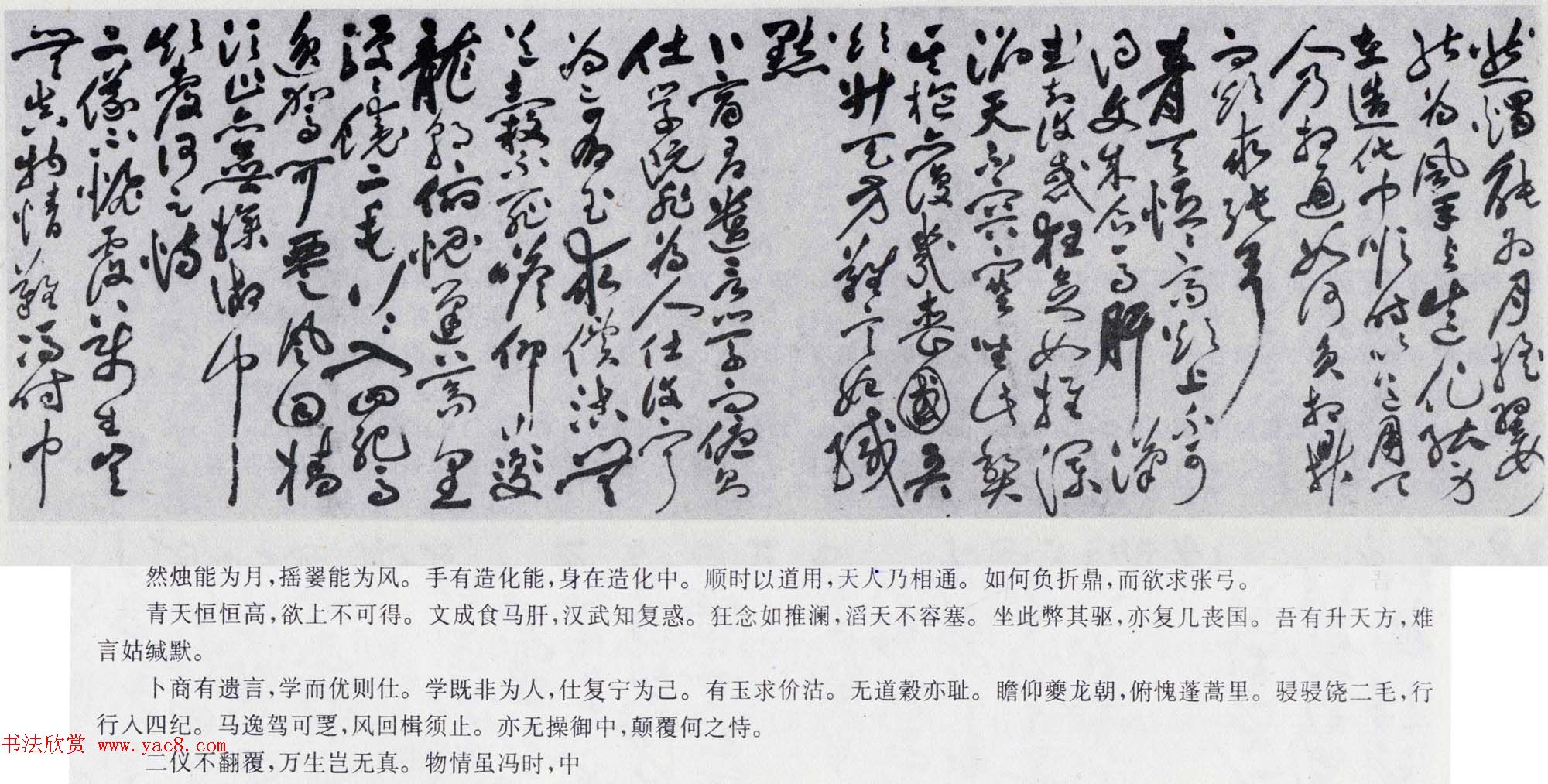 祝允明书法长卷欣赏《草书自诗卷》两种_上海博物馆藏