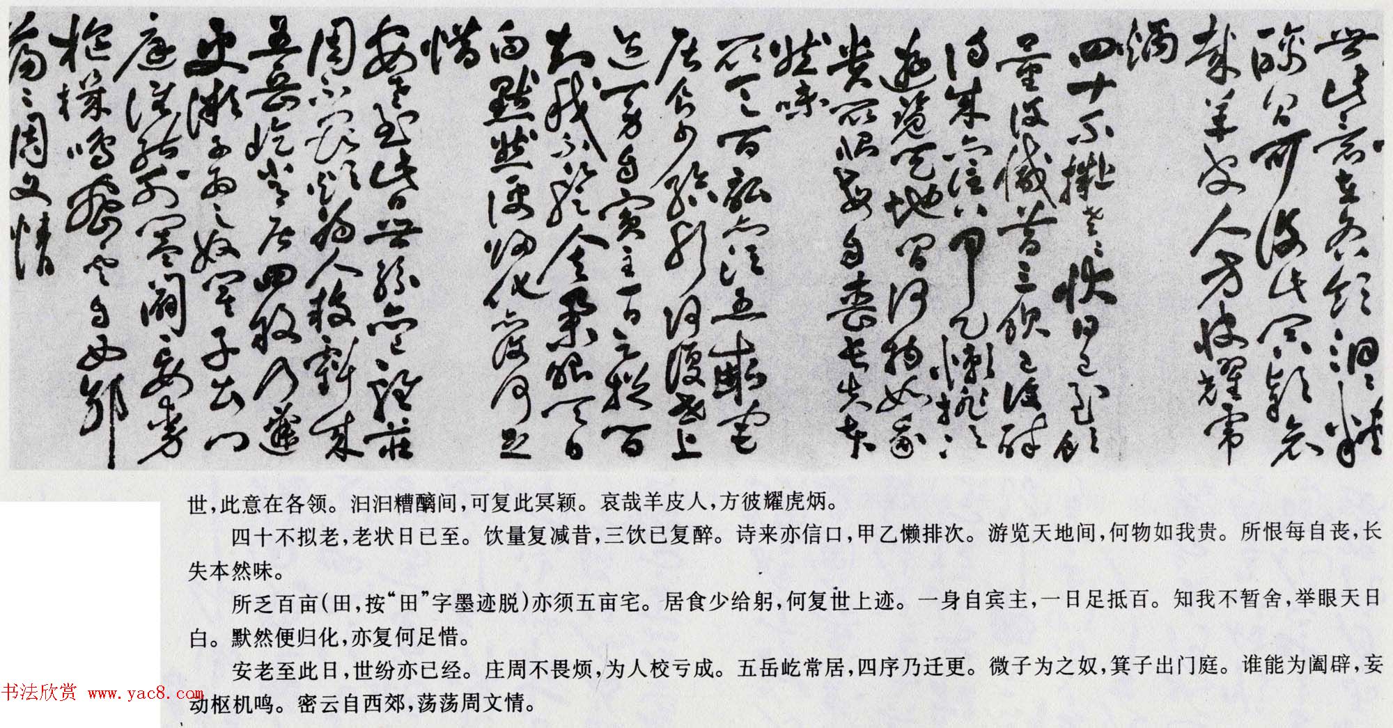 祝允明书法长卷欣赏《草书自诗卷》两种_上海博物馆藏