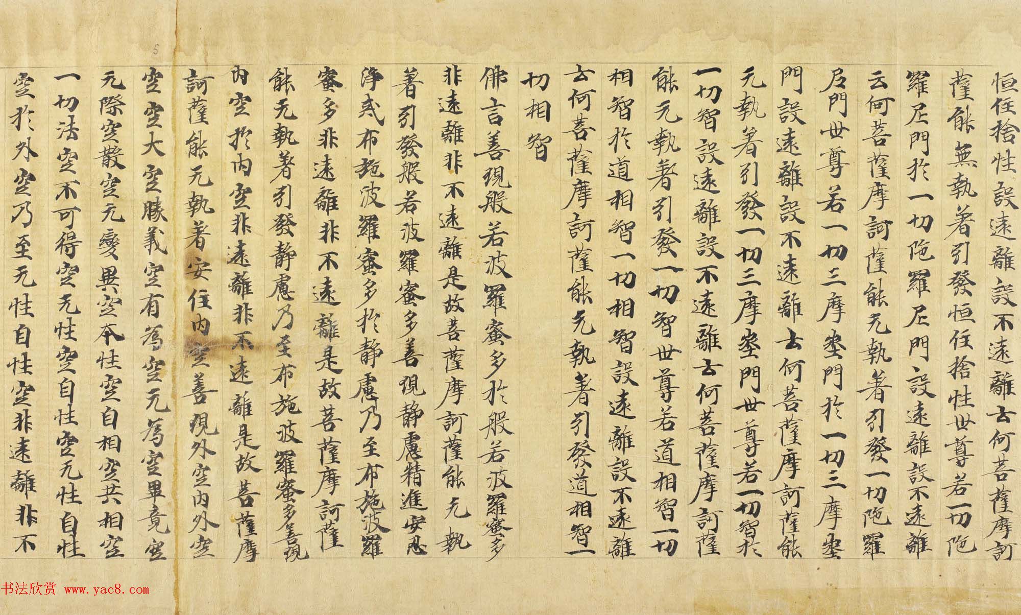 大般若波罗密多经卷第三百五十四_丹麦皇家图书馆藏