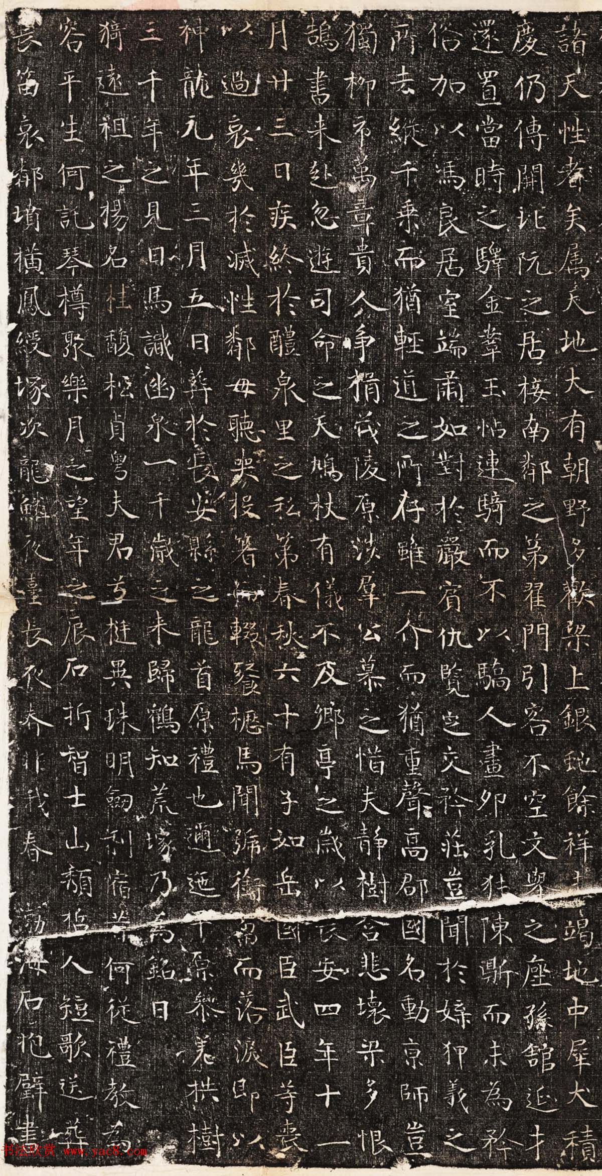 唐代正书石刻欣赏《安令节墓志》