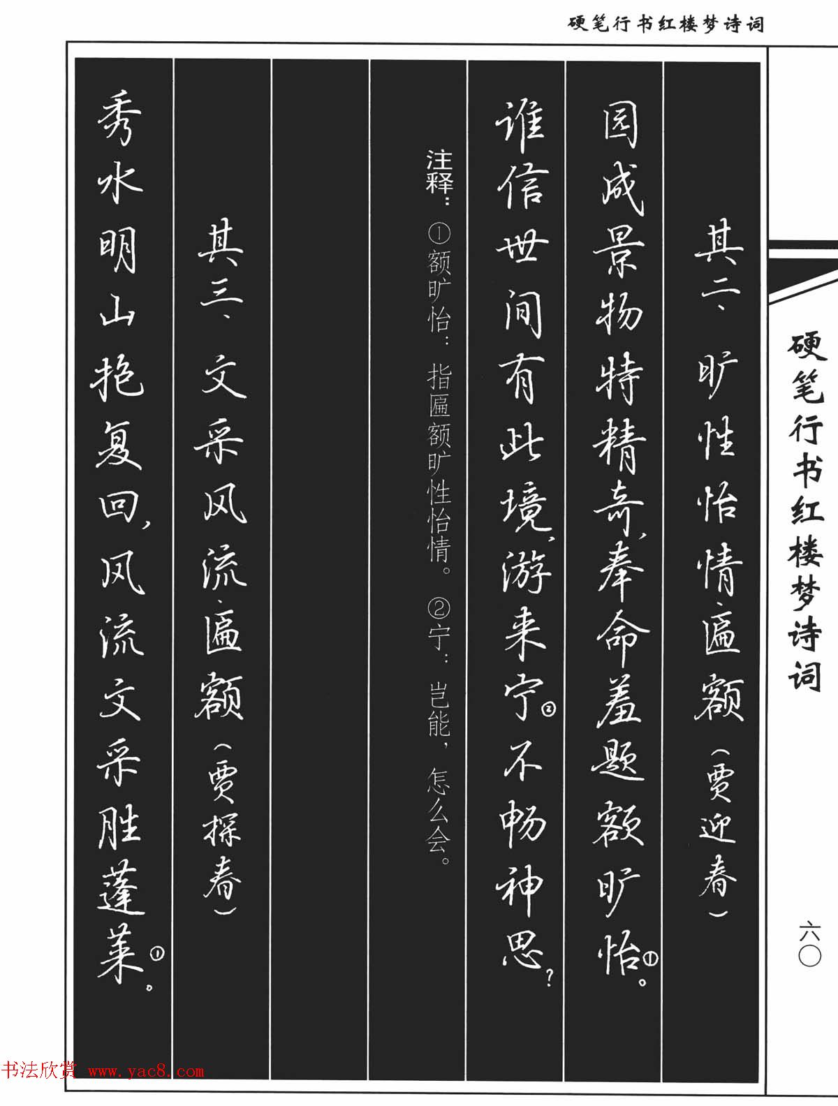 吴玉生钢笔字帖欣赏《硬笔行书红楼梦诗词》