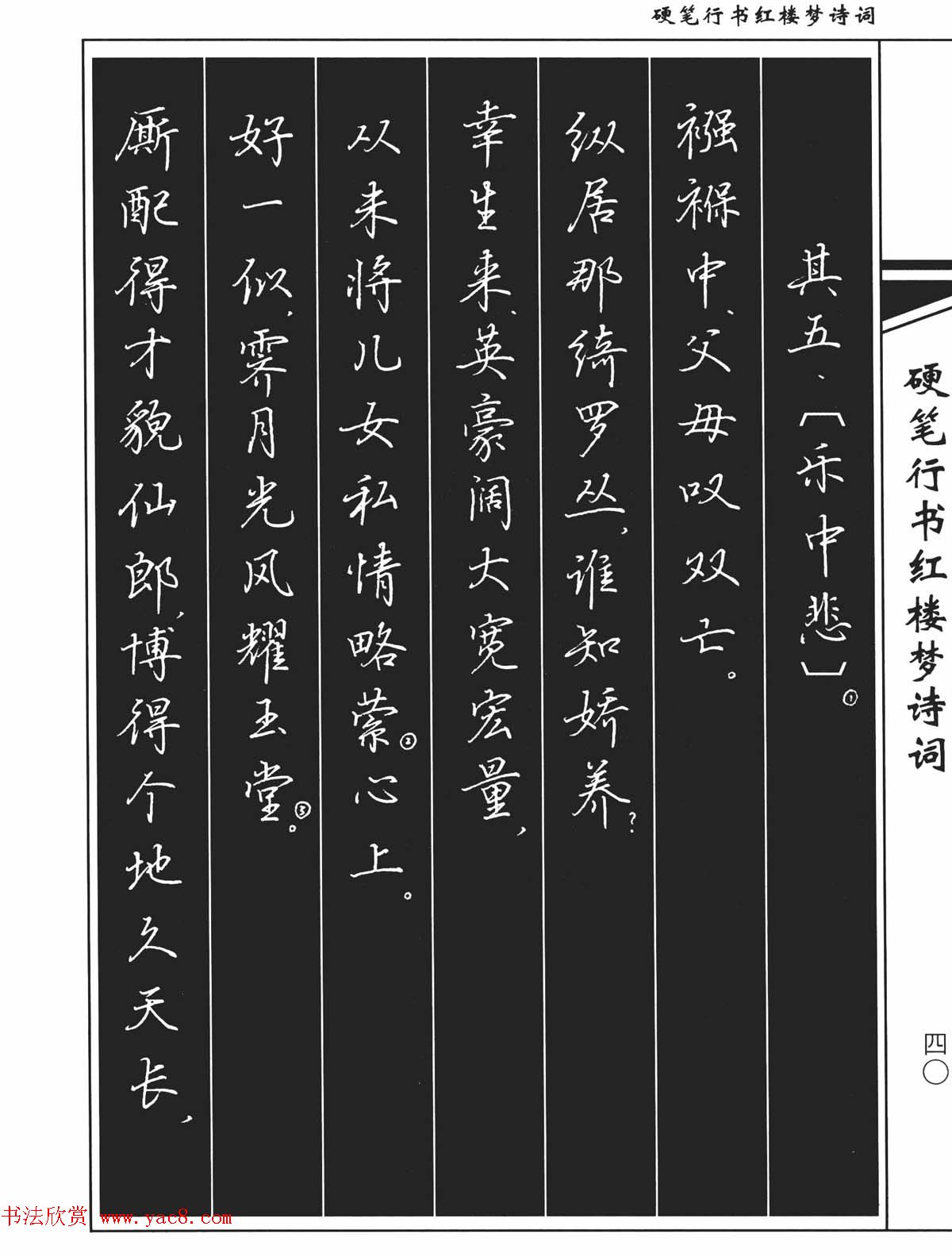 吴玉生钢笔字帖欣赏《硬笔行书红楼梦诗词》