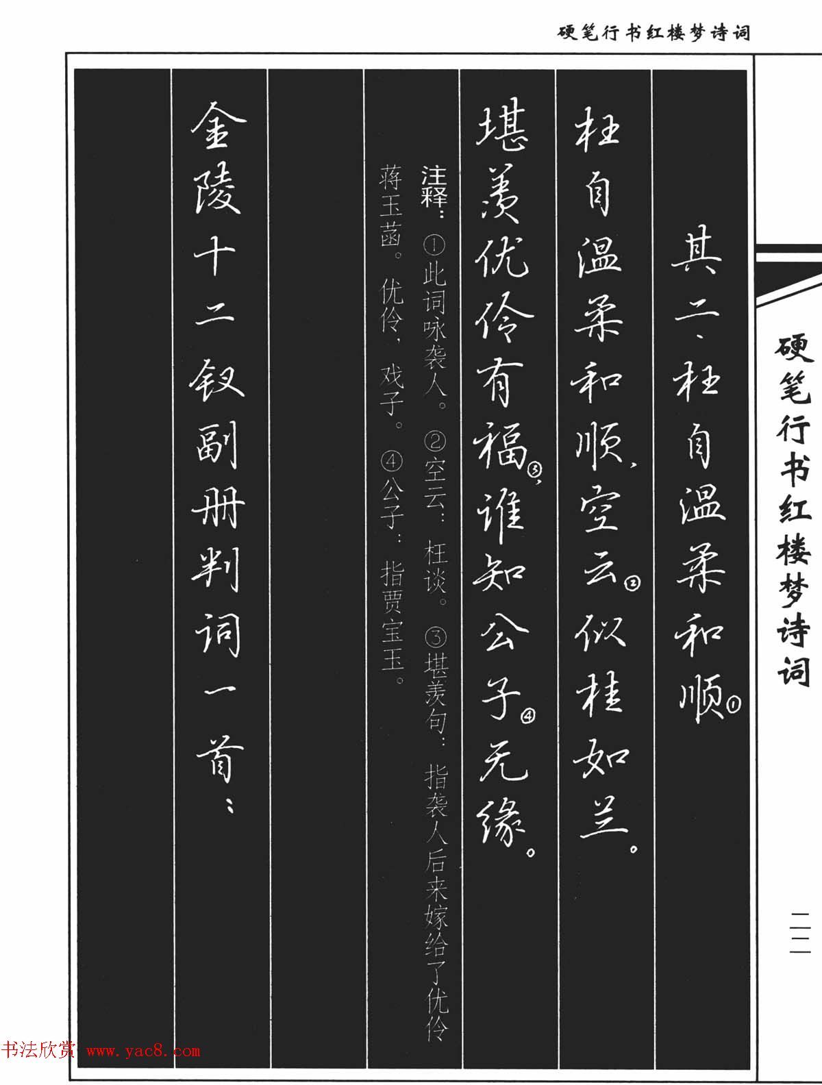 吴玉生钢笔字帖欣赏《硬笔行书红楼梦诗词》