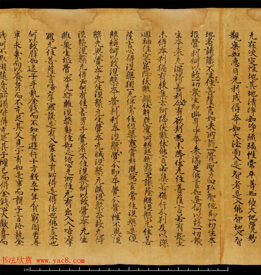 斯坦因敦煌书法欣赏《金刚三昧经第一》英藏