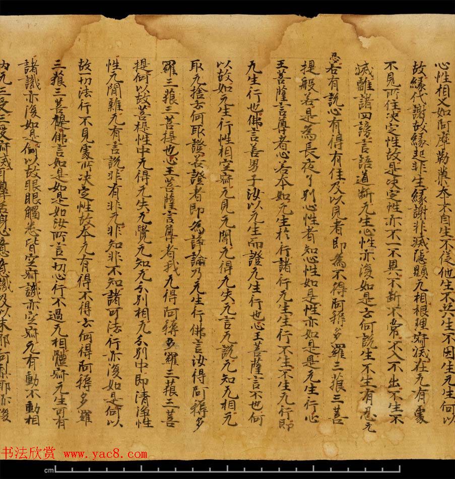 斯坦因敦煌书法欣赏《金刚三昧经第一》英藏