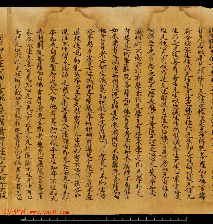 斯坦因敦煌书法欣赏《金刚三昧经第一》英藏